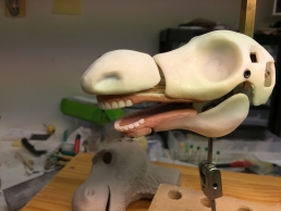 Fresh paint on the silicone teeth on the finished head mechanics